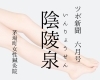 【ツボ新聞】「陰陵泉」むくみ体に溜まった余分な水分をスッキリ流すツボ「【ツボ新聞】「陰陵泉」むくみ・体に溜まった余分な水分をスッキリ流すツボ」