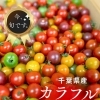 シリーズ『いま、旬です。』 vol.1　千葉県産　カラフルミニトマト
