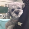 甘えん坊チビくん♡大好きなお母さん＆社長のダブルLOVEデーU*^_^*U