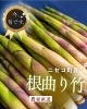 「シリーズ『いま、旬です。』 vol.5　ニセコ町産　根曲り竹」