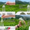 ペットボトルで手軽にお茶を！エコで美味しい毎日をペットボトルとお茶で