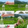 ペットボトルで手軽にお茶を！エコで美味しい毎日をペットボトルとお茶で
