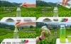 ペットボトルで手軽にお茶を！「ペットボトルで手軽にお茶を！エコで美味しい毎日をペットボトルとお茶で」