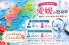 愛媛の独身率「愛媛婚活【愛媛の独身率＆男女比】えひめ結婚相談所カメリア🌺」