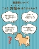 「査定額ついてお悩みですか？☆焼津市・藤枝市・島田市・吉田町・牧之原市で不動産売買をお考えなら、地域密着の「いちえ不動産」へ🏡✨空き家・空き地の売却相談受付中！マイホーム計画は資金計画から土地探し、メーカー選びまでお任せ下さい☆」