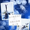 小松島市・特別養護老人ホーム千歳苑です。春の職員遠足「須磨水族館第二弾」へ行ってきました