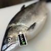 北海道・斜里町産 生サクラマスを原始焼きで 香ばしい一品が登場しました