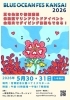 「BLUE OCEAN FES KANSAI 2026に遊びに行きませんか？」