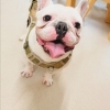 今日のお友達
