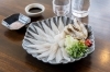 「穴子刺しと炙りの相盛りの楽しみ方【西葛西の和食・穴子専門店】」