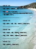 「🏝️ヤシの木接骨院の直近の空き枠🏝️」