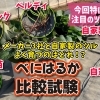 系統別紅はるか品種試験! 高温期の環境下で品質が良いサツマイモはどれになるのか!?　たねのハシモトミヤ