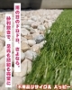 雨の日も泥や汚れの心配も軽減「雨の日のドロドロ対策に、お庭の砂利敷きサポート」