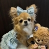 ゆるちゃん🩵