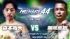「Belva所属選手の森本祐矢が6/27のファイティングネクサスでプロデビュー」