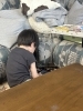 いじけてます🤭「アートホームの日常　5/27」