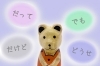 「3D言葉【ほめ活　子育て　コミュニケーション】」