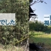 市原市の里山をみんなでゆるく整備🌿 竹林・耕作放棄地！