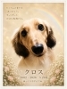 家族「すいません」