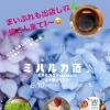 ☘6月10日 ミハルカ酒♪イベント出店します☘
