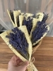「ラベンダー届きました」