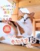 「【完全予約制】SAYAMAKOわんにゃん譲渡会2026.6.6㈯ 参加猫紹介⑦MIX猫　 埼玉/所沢・入間・狭山・川越・飯能 　東京/東大和・武蔵村山・東村山・東久留米・小平・立川」