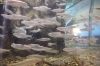 「暑い日は噴水広場＋水族館へ☀️ 週末は歩崎公園でのんびり遊ぼう🐟」