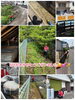 ご利用ありがとうございました😆💕✨「ベンリー福山東🌟5月もありがとうございました😌💕」