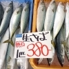 京都府産生さば特大1匹380円＆天然ぶり1匹4,400円（税込）