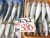 「京都府産生さば特大1匹380円＆天然ぶり1匹4,400円（税込）」
