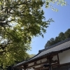『骨葬という送り方 ～ご家族とお寺の都合に合わせたご葬儀～』