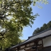 『骨葬という送り方 ～ご家族とお寺の都合に合わせたご葬儀～』