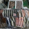 📣本日のお魚情報🐟