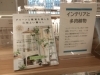 「インテリアと多肉植物」