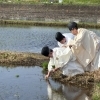 ⛩️横浜三支部 御田植祭⛩️