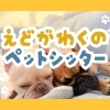 【愛犬・愛猫家の飼い主さまへ】「ペットシッター」という新しい選択肢を🐶🐱✨