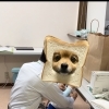 東谷中学校トライやる・ウィークでギプス体験をしてもらいました