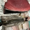 天然本マグロとカワハギ煮付け、入荷しました