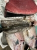 厳選された新鮮な魚介類「天然本マグロとカワハギ煮付け、入荷しました」