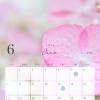 6月のご案内🤍🫧