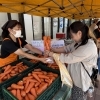 ＼ 本日限定！イベント盛りだくさん ／八千代産にんじん詰め放題＆試食会✨