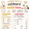 新しいチラシができました【ねこホテル　ペットシッター　サモエドブリーダー　catbeard キャットビヤード　札幌市　北区】