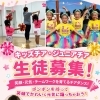 木曜開講！キッズ・ジュニアチアダンス生徒募集