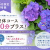 6月特典