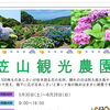 あじさいの名所・笠山観光農園へ行くなら、潮騒で海鮮ランチを