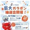 6月も巨大ガラポン抽選会開催！🌀