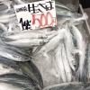 京都府産生さば袋売り・石川県産甘えび・京都府産サワラ＆ヒラメ＆ツバス入荷しました