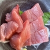 【極上の本マグロ、緊急入荷しました！】/藤枝居酒屋/焼き鳥/ディナー
