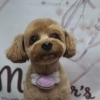 ミックス犬のたむくん♪ 「mother's」ピンク背景でマカロン風スマイルチャームフォト！