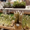 遠別町では、今年も フレッシュ市場「花菜夢（かなむ）」 の直売が、道の駅「えんべつ富士見」にて開催！